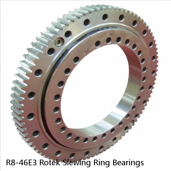 R8-46E3 Rotek Slewing Ring Bearings