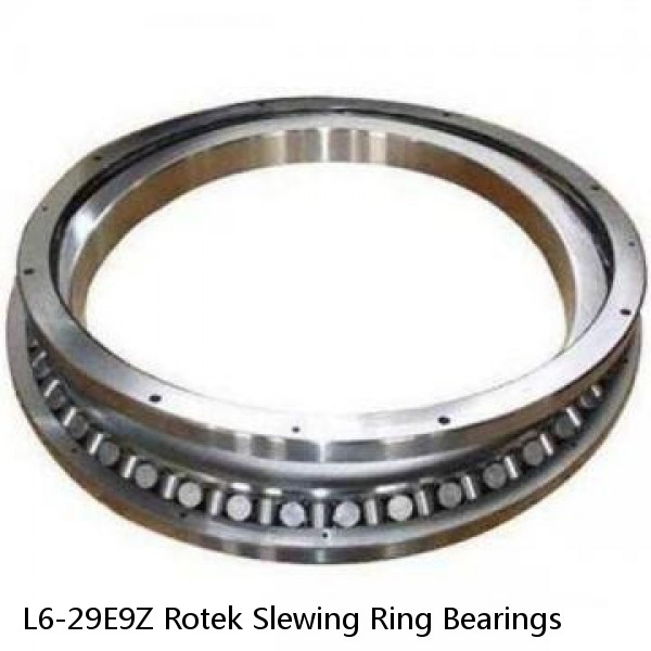 L6-29E9Z Rotek Slewing Ring Bearings