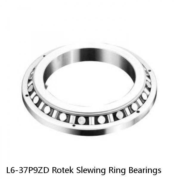 L6-37P9ZD Rotek Slewing Ring Bearings