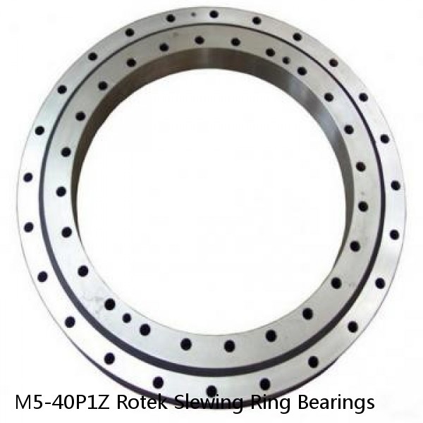 M5-40P1Z Rotek Slewing Ring Bearings