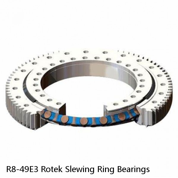 R8-49E3 Rotek Slewing Ring Bearings