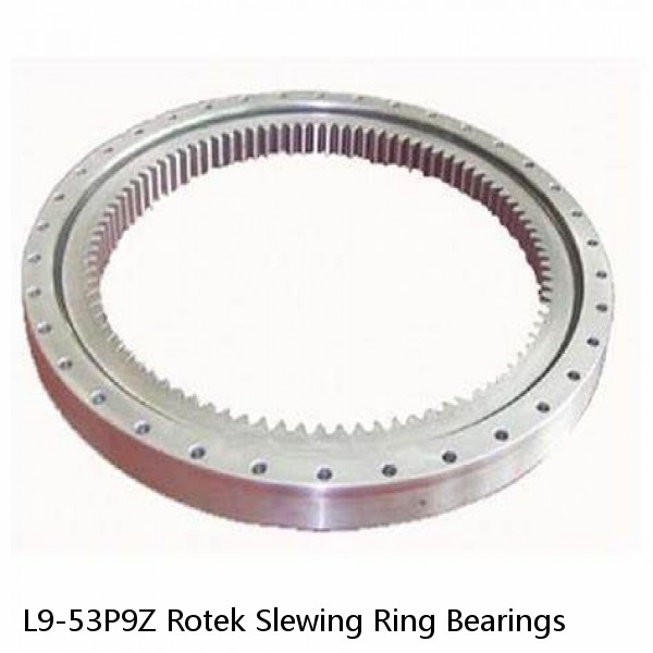 L9-53P9Z Rotek Slewing Ring Bearings