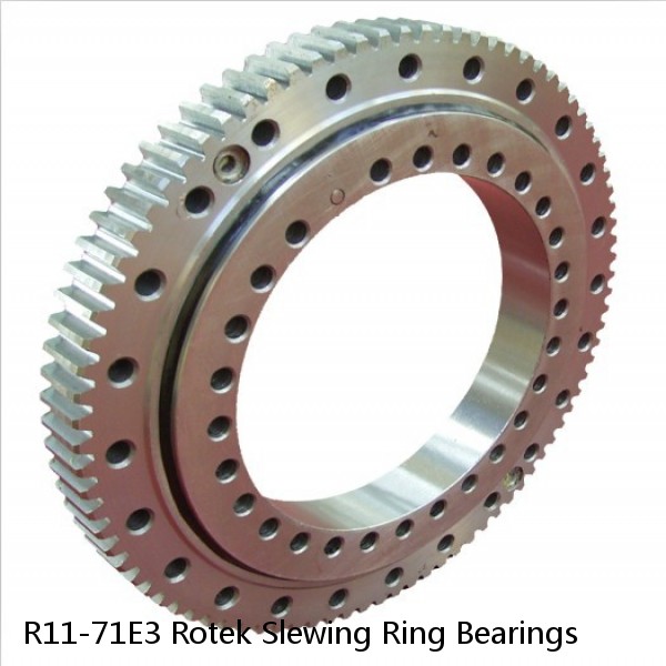 R11-71E3 Rotek Slewing Ring Bearings