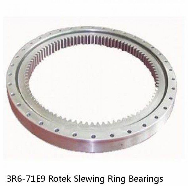 3R6-71E9 Rotek Slewing Ring Bearings