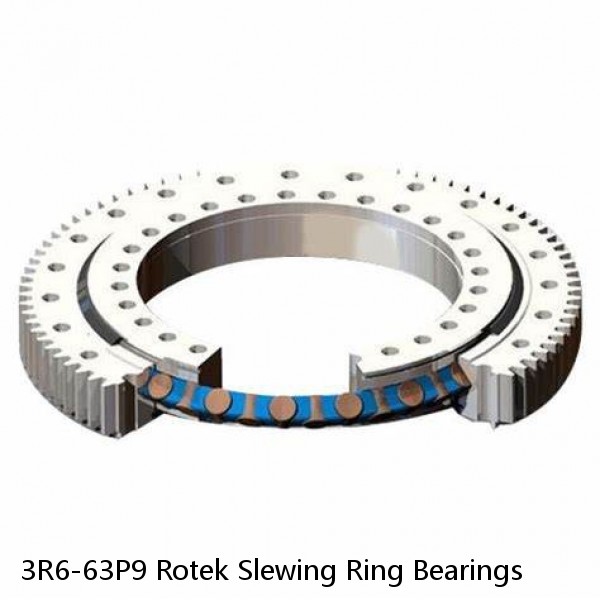 3R6-63P9 Rotek Slewing Ring Bearings