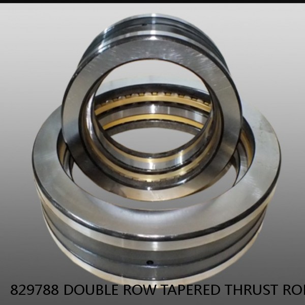 829788 DOUBLE ROW TAPERED THRUST ROLLER BEARINGS