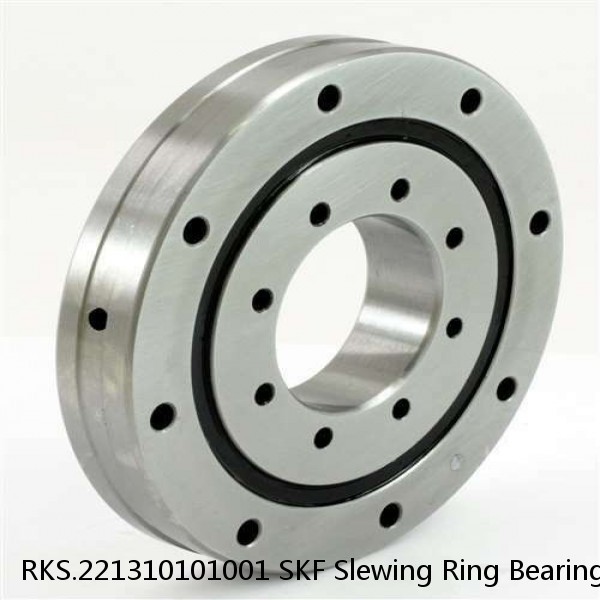 RKS.221310101001 SKF Slewing Ring Bearings #1 small image