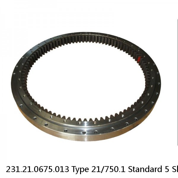 231.21.0675.013 Type 21/750.1 Standard 5 Slewing Ring Bearings #1 small image