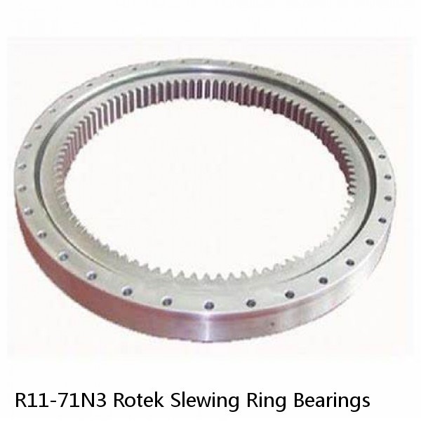 R11-71N3 Rotek Slewing Ring Bearings #1 small image