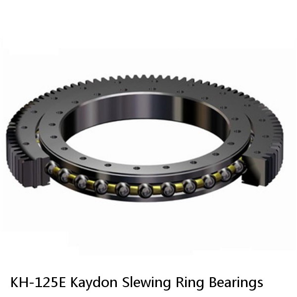 KH-125E Kaydon Slewing Ring Bearings #1 small image