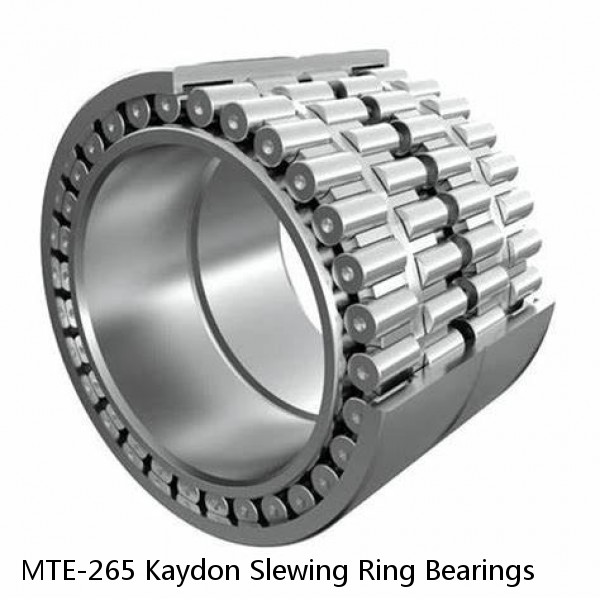 MTE-265 Kaydon Slewing Ring Bearings #1 small image