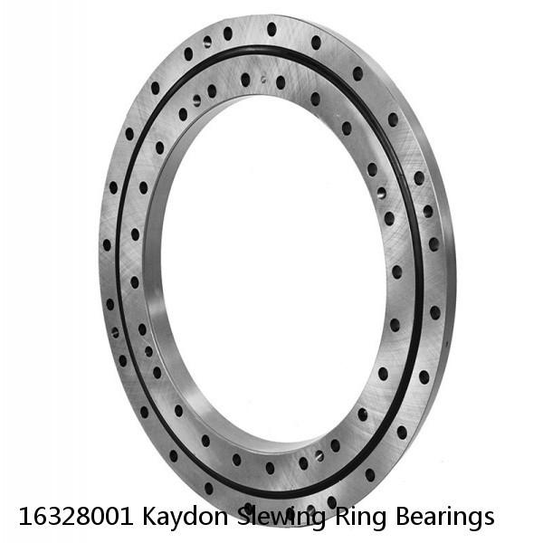 16328001 Kaydon Slewing Ring Bearings #1 small image