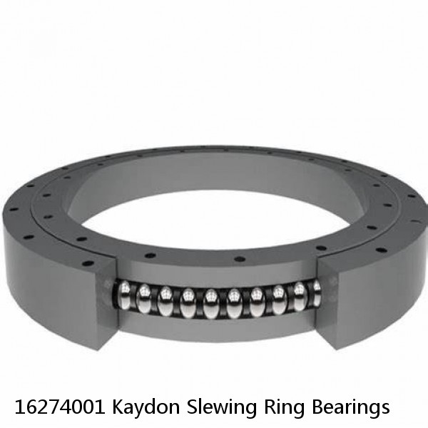 16274001 Kaydon Slewing Ring Bearings #1 small image