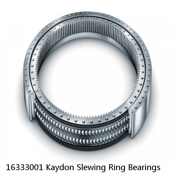 16333001 Kaydon Slewing Ring Bearings #1 small image