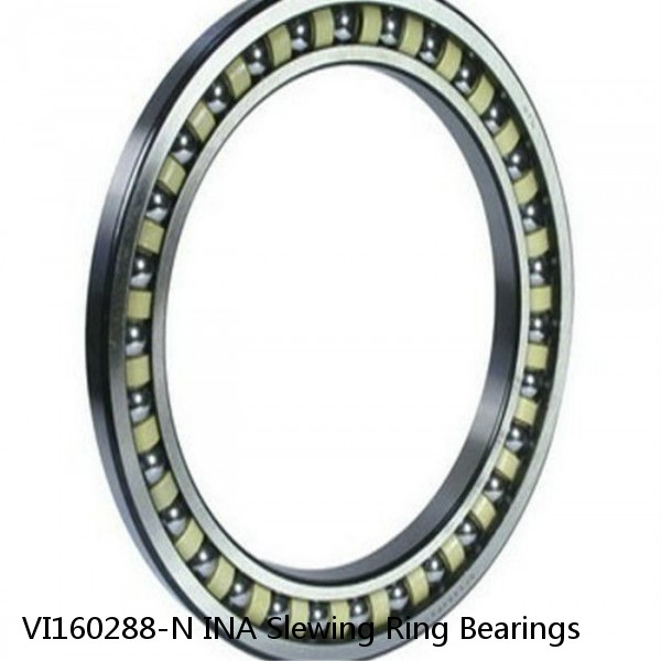 VI160288-N INA Slewing Ring Bearings #1 small image