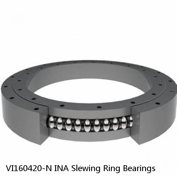 VI160420-N INA Slewing Ring Bearings