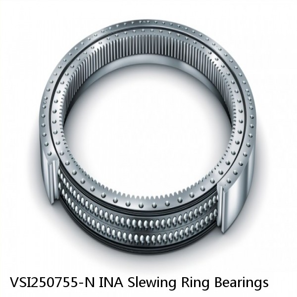 VSI250755-N INA Slewing Ring Bearings