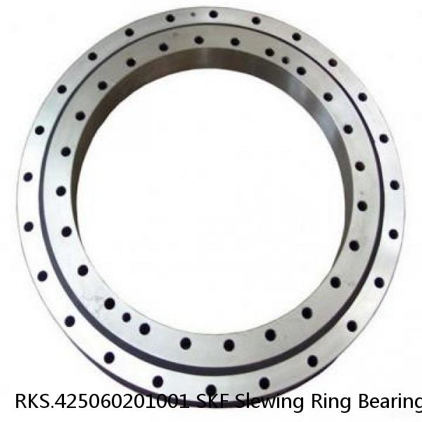 RKS.425060201001 SKF Slewing Ring Bearings #1 small image