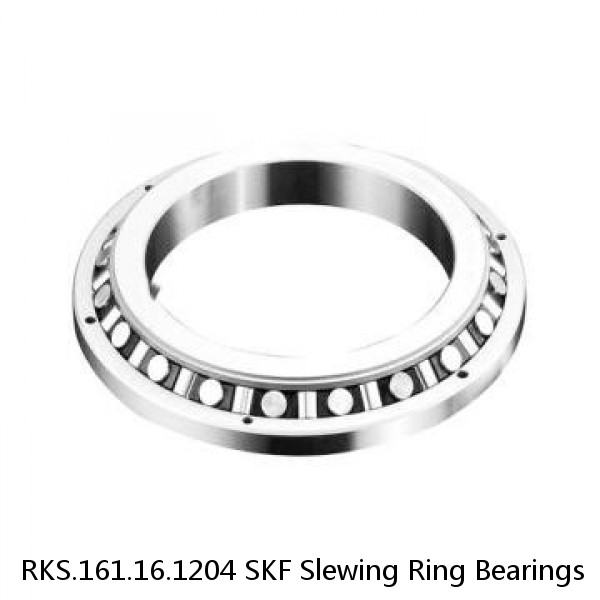 RKS.161.16.1204 SKF Slewing Ring Bearings #1 small image