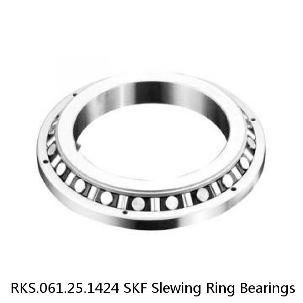 RKS.061.25.1424 SKF Slewing Ring Bearings