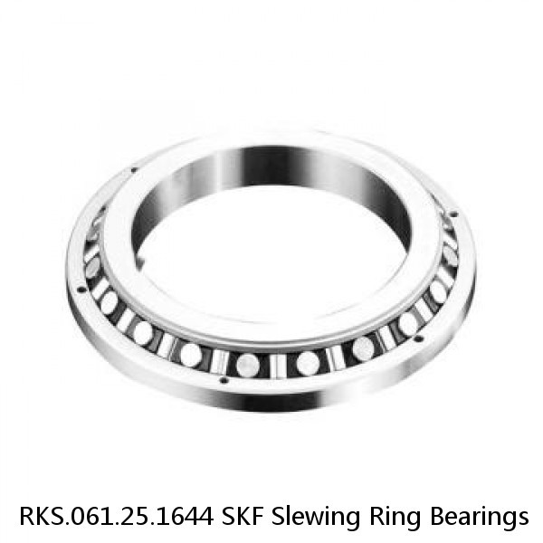 RKS.061.25.1644 SKF Slewing Ring Bearings #1 small image