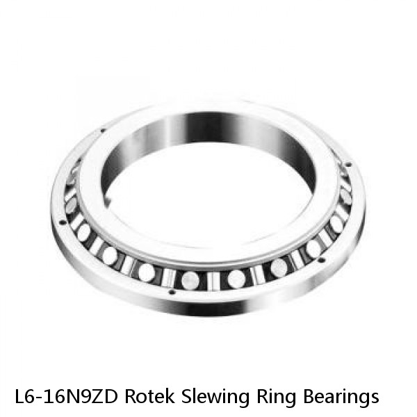 L6-16N9ZD Rotek Slewing Ring Bearings