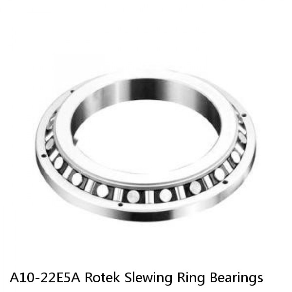 A10-22E5A Rotek Slewing Ring Bearings #1 small image