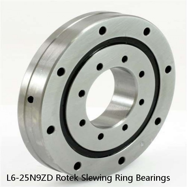 L6-25N9ZD Rotek Slewing Ring Bearings #1 small image