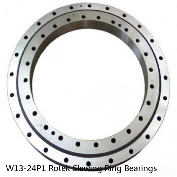 W13-24P1 Rotek Slewing Ring Bearings