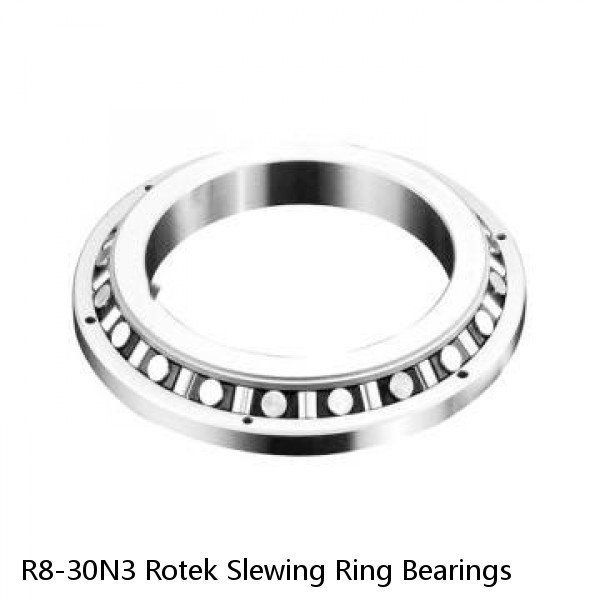 R8-30N3 Rotek Slewing Ring Bearings #1 small image