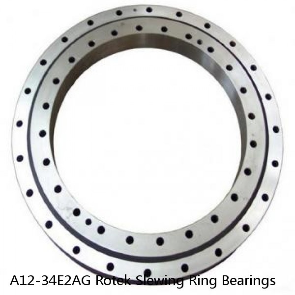 A12-34E2AG Rotek Slewing Ring Bearings #1 small image