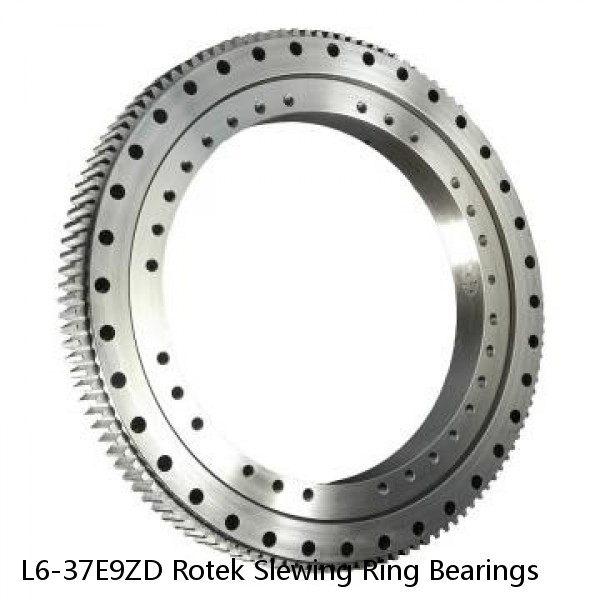 L6-37E9ZD Rotek Slewing Ring Bearings #1 small image