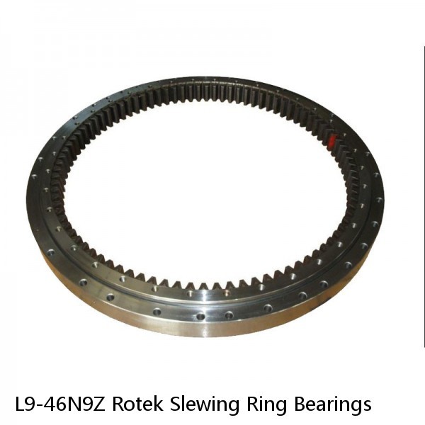 L9-46N9Z Rotek Slewing Ring Bearings #1 small image