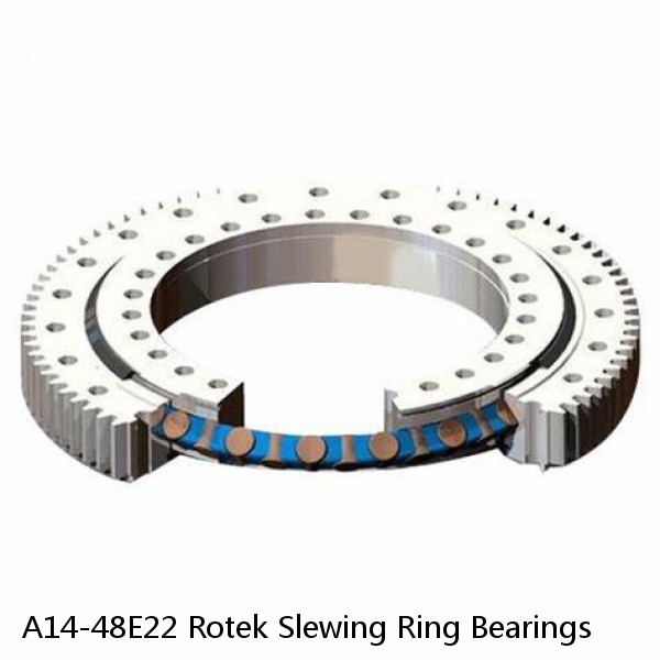 A14-48E22 Rotek Slewing Ring Bearings #1 small image