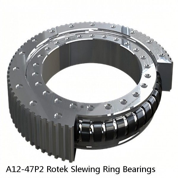 A12-47P2 Rotek Slewing Ring Bearings #1 small image