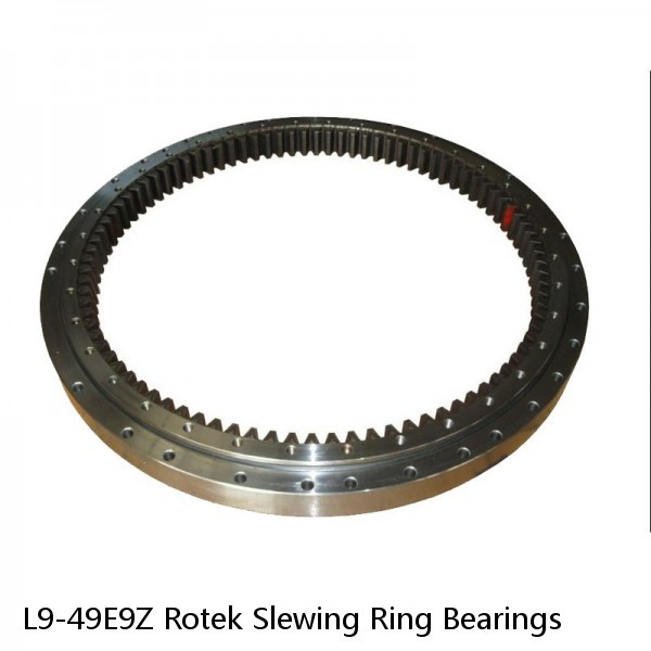 L9-49E9Z Rotek Slewing Ring Bearings