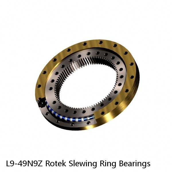 L9-49N9Z Rotek Slewing Ring Bearings #1 small image