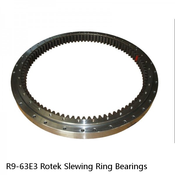 R9-63E3 Rotek Slewing Ring Bearings #1 small image