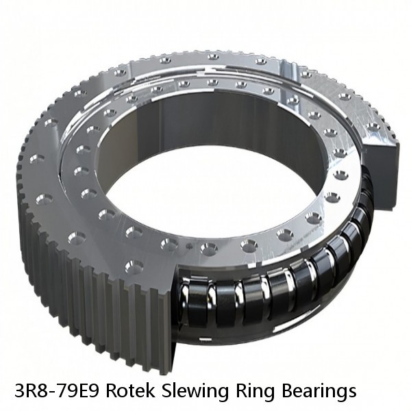 3R8-79E9 Rotek Slewing Ring Bearings #1 small image