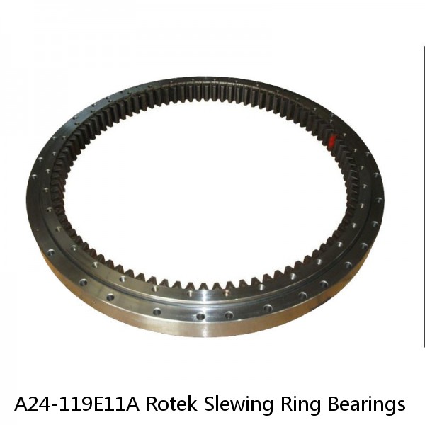 A24-119E11A Rotek Slewing Ring Bearings