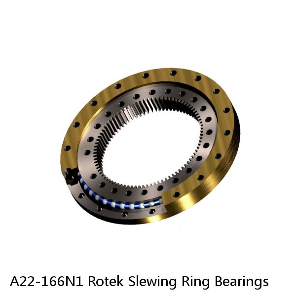 A22-166N1 Rotek Slewing Ring Bearings #1 small image