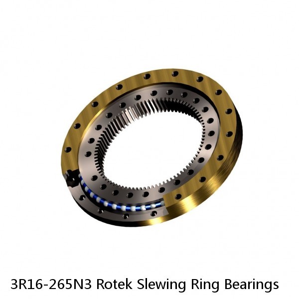 3R16-265N3 Rotek Slewing Ring Bearings #1 small image