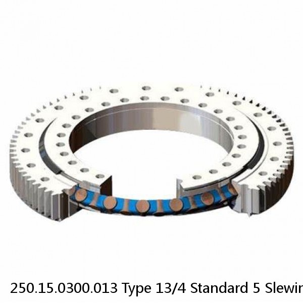 250.15.0300.013 Type 13/4 Standard 5 Slewing Ring Bearings #1 small image