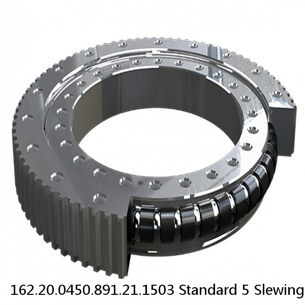 162.20.0450.891.21.1503 Standard 5 Slewing Ring Bearings #1 small image