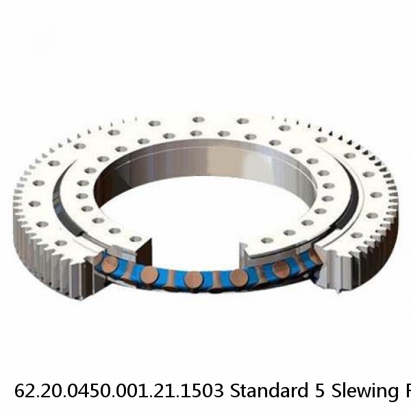 62.20.0450.001.21.1503 Standard 5 Slewing Ring Bearings #1 small image