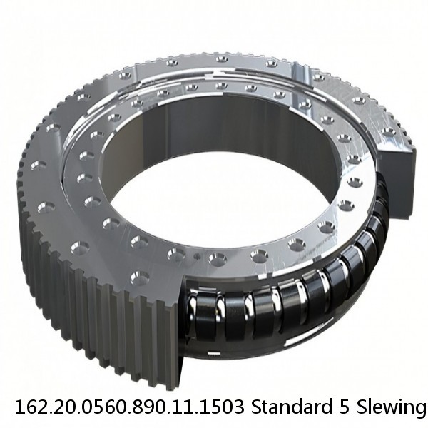 162.20.0560.890.11.1503 Standard 5 Slewing Ring Bearings #1 small image