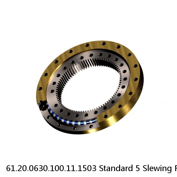 61.20.0630.100.11.1503 Standard 5 Slewing Ring Bearings #1 small image