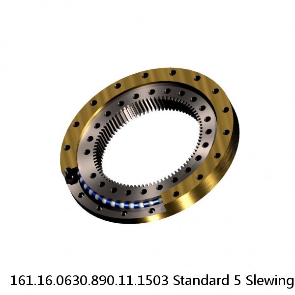 161.16.0630.890.11.1503 Standard 5 Slewing Ring Bearings #1 small image