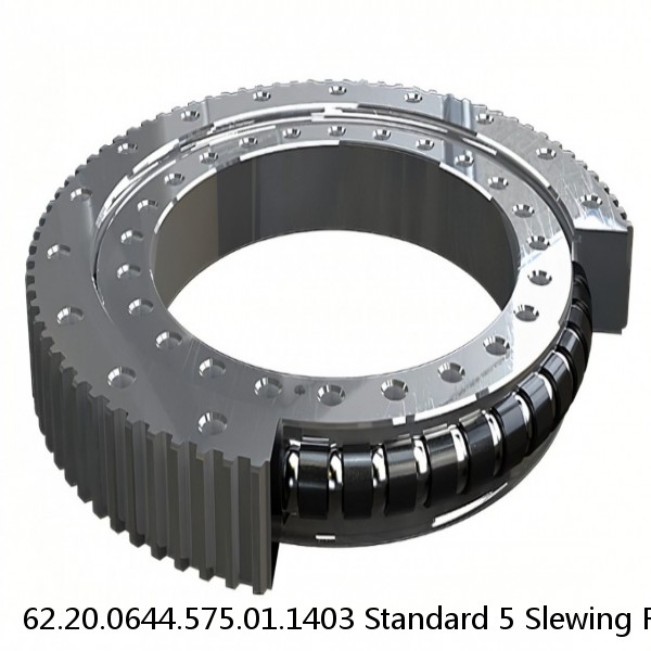 62.20.0644.575.01.1403 Standard 5 Slewing Ring Bearings #1 small image