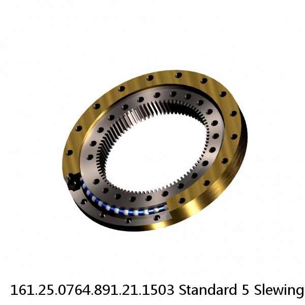 161.25.0764.891.21.1503 Standard 5 Slewing Ring Bearings #1 small image